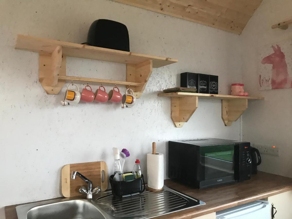 The Beautiful Lazy Llama Shepherd Hut Farm Stay Ballyshannon Extérieur photo