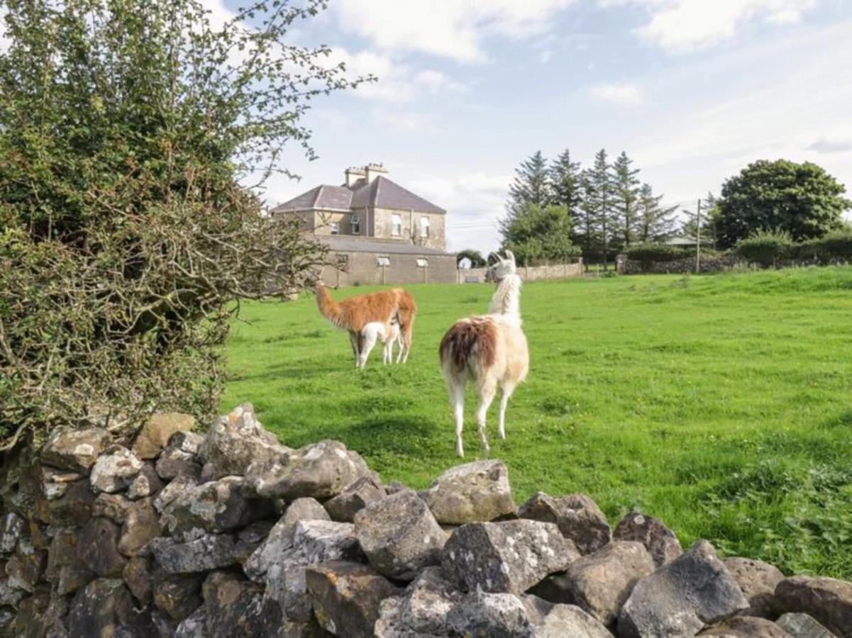 The Beautiful Lazy Llama Shepherd Hut Farm Stay Ballyshannon Extérieur photo
