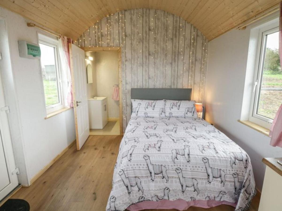 The Beautiful Lazy Llama Shepherd Hut Farm Stay Ballyshannon Extérieur photo