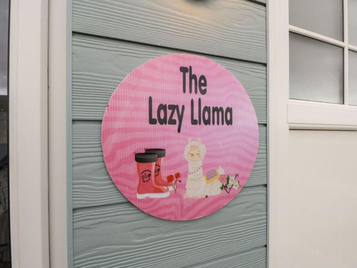 The Beautiful Lazy Llama Shepherd Hut Farm Stay Ballyshannon Extérieur photo