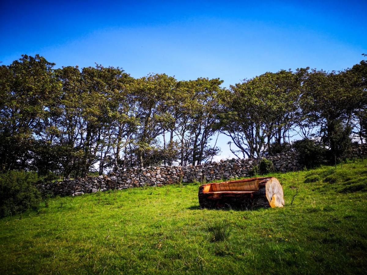 The Beautiful Lazy Llama Shepherd Hut Farm Stay Ballyshannon Extérieur photo