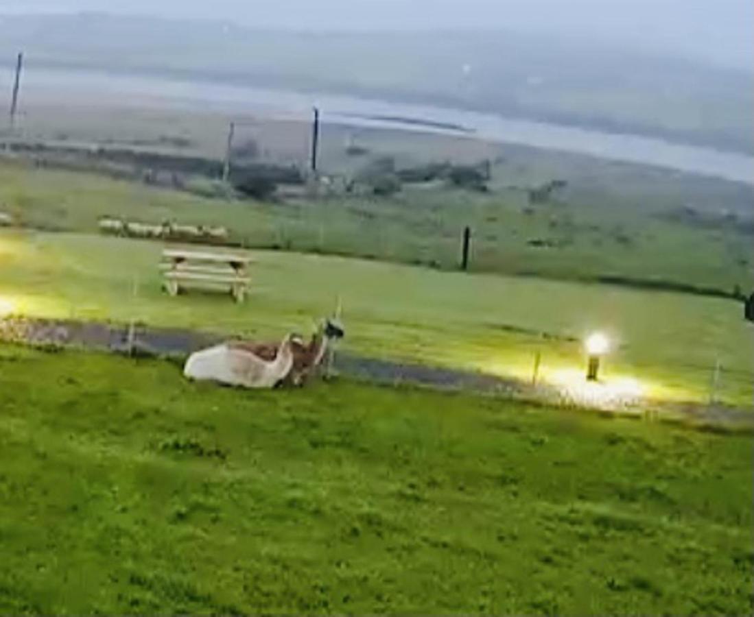 The Beautiful Lazy Llama Shepherd Hut Farm Stay Ballyshannon Extérieur photo